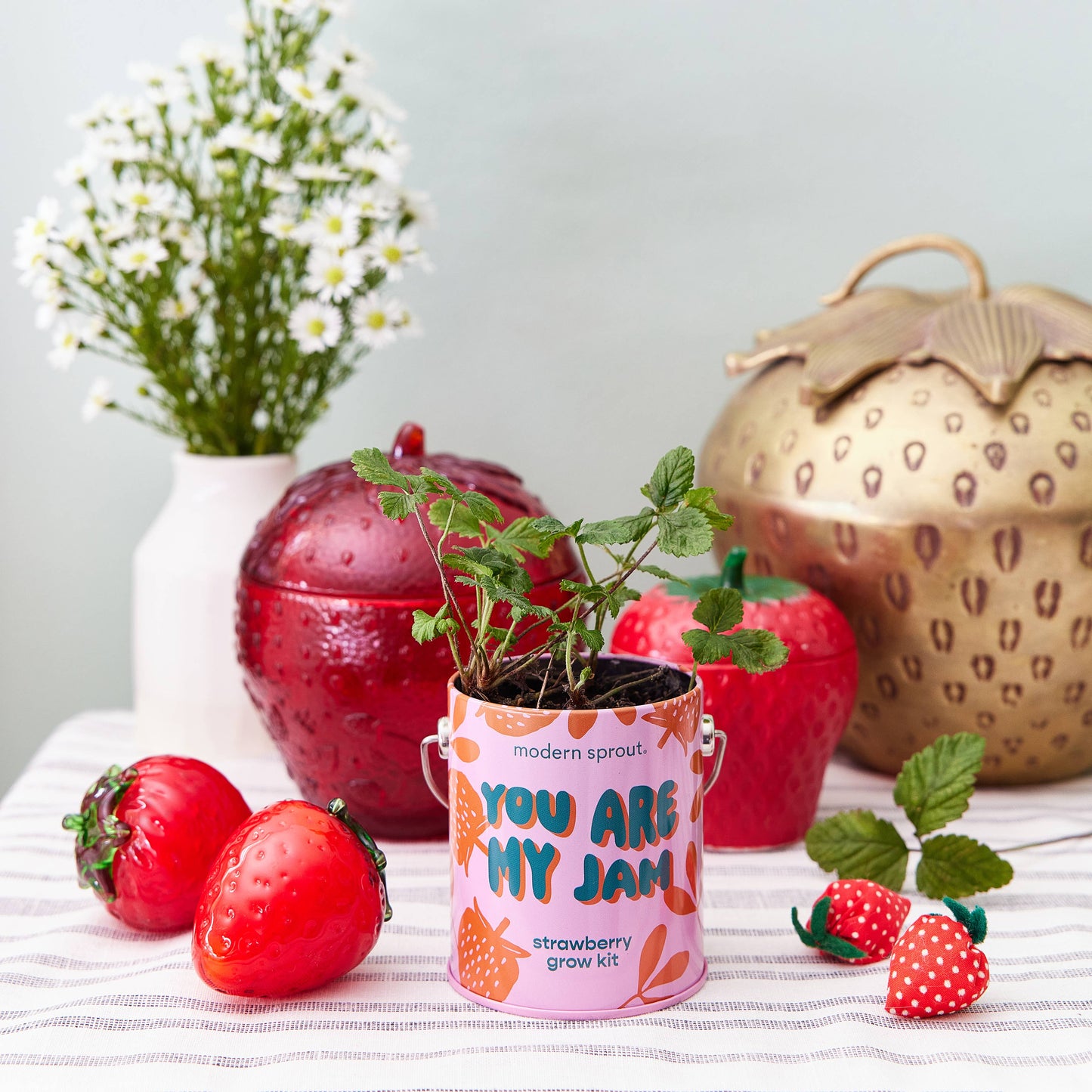 Complimentary Color Grow Kits: Bada Bloom