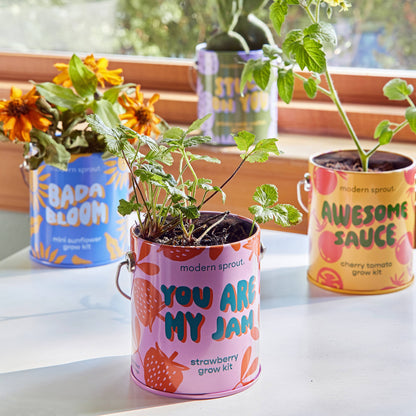 Complimentary Color Grow Kits: Stuck on You