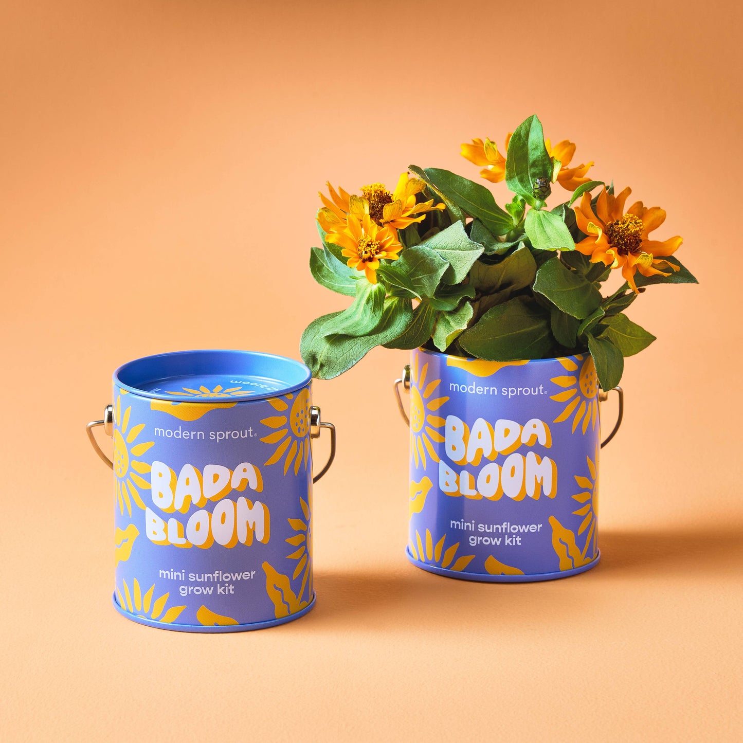 Complimentary Color Grow Kits: Stuck on You