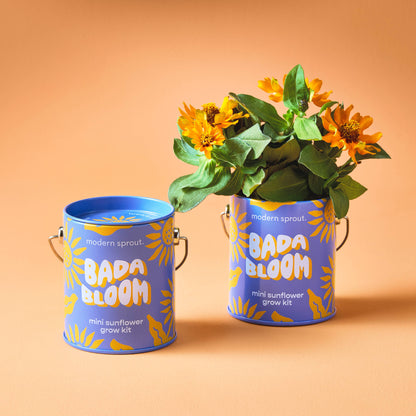 Complimentary Color Grow Kits: Bada Bloom