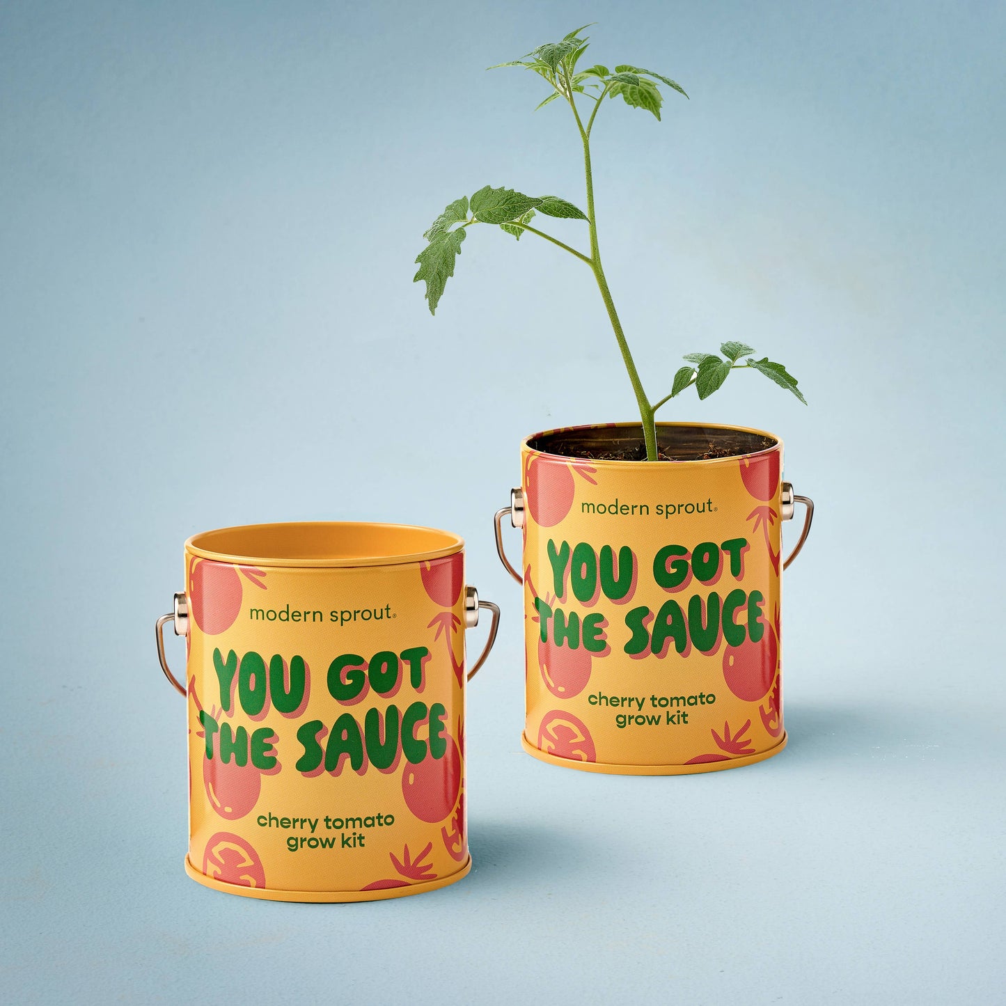 Complimentary Color Grow Kits: Stay Zen Friend