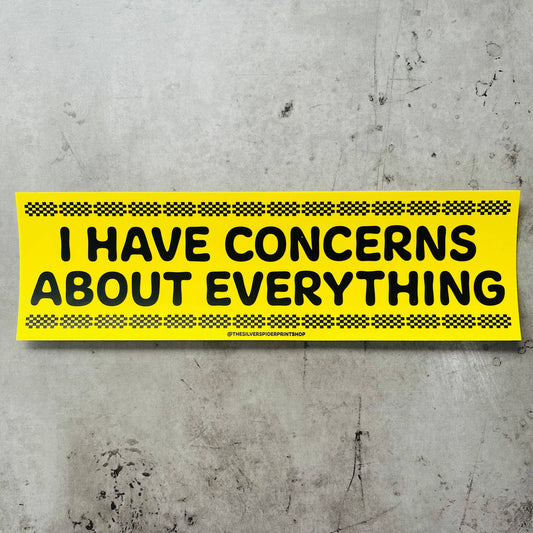 I have concerns about everything Bumper Sticker