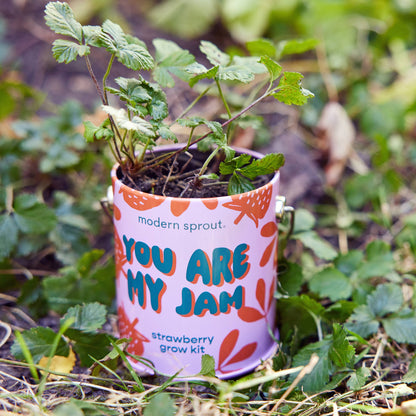 Complimentary Color Grow Kits: Stuck on You