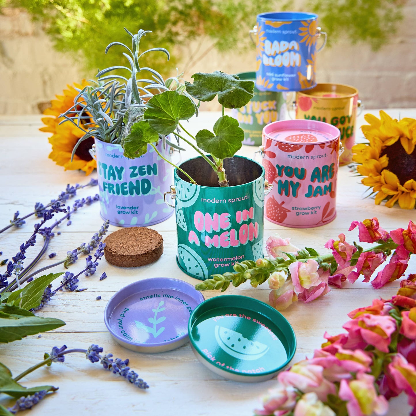Complimentary Color Grow Kits: You Got the Sauce