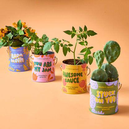 Complimentary Color Grow Kits: You Got the Sauce