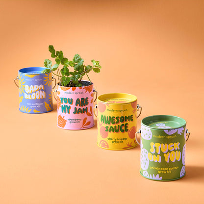Complimentary Color Grow Kits: Bada Bloom