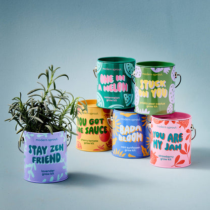 Complimentary Color Grow Kits: Stuck on You