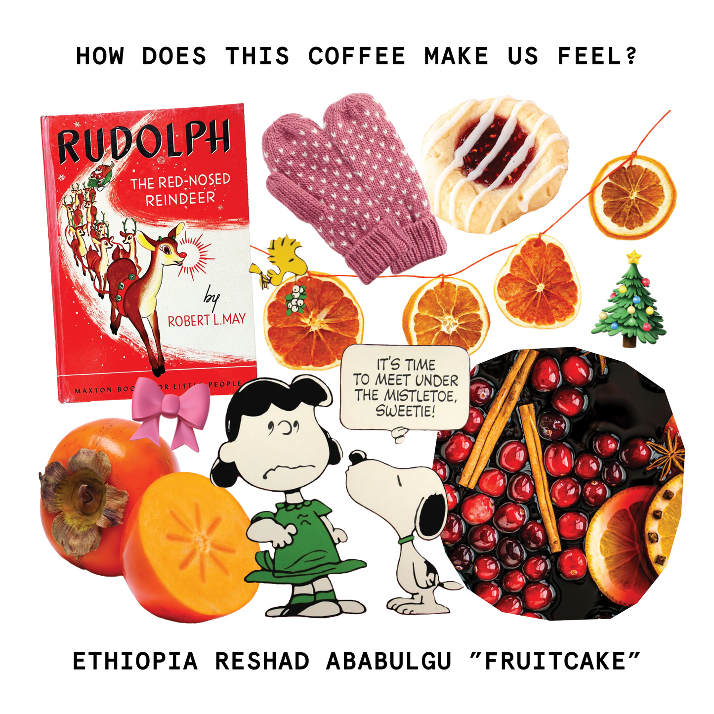 Touchy Coffee - Fruitcake