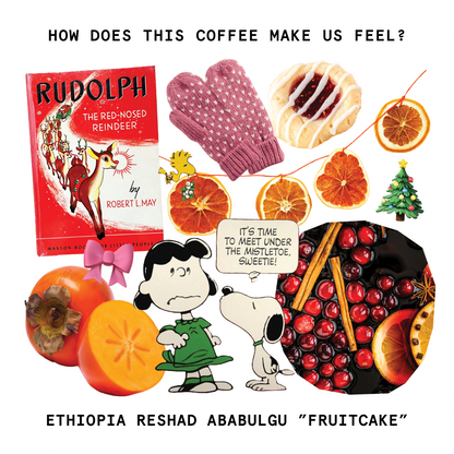 Touchy Coffee - Fruitcake