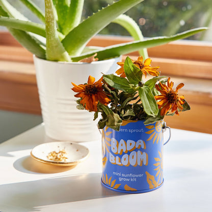 Complimentary Color Grow Kits: Bada Bloom