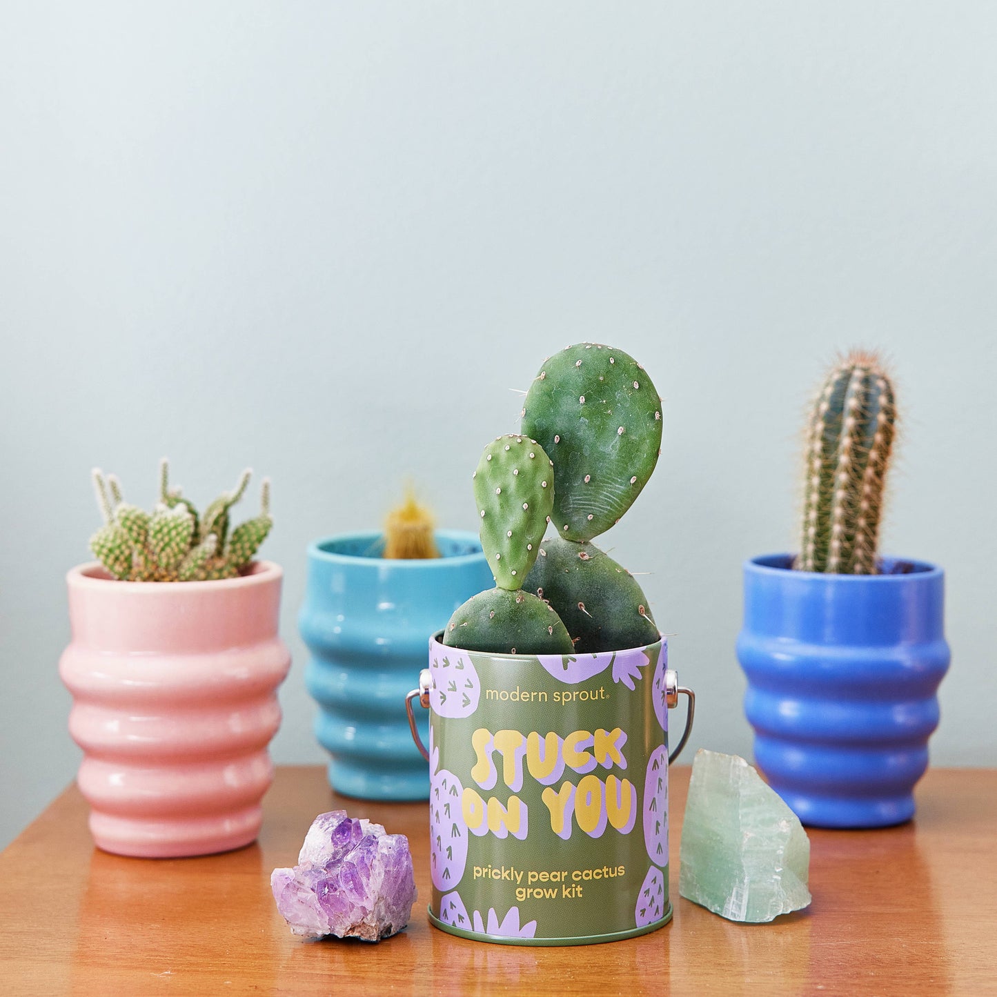 Complimentary Color Grow Kits: Stuck on You
