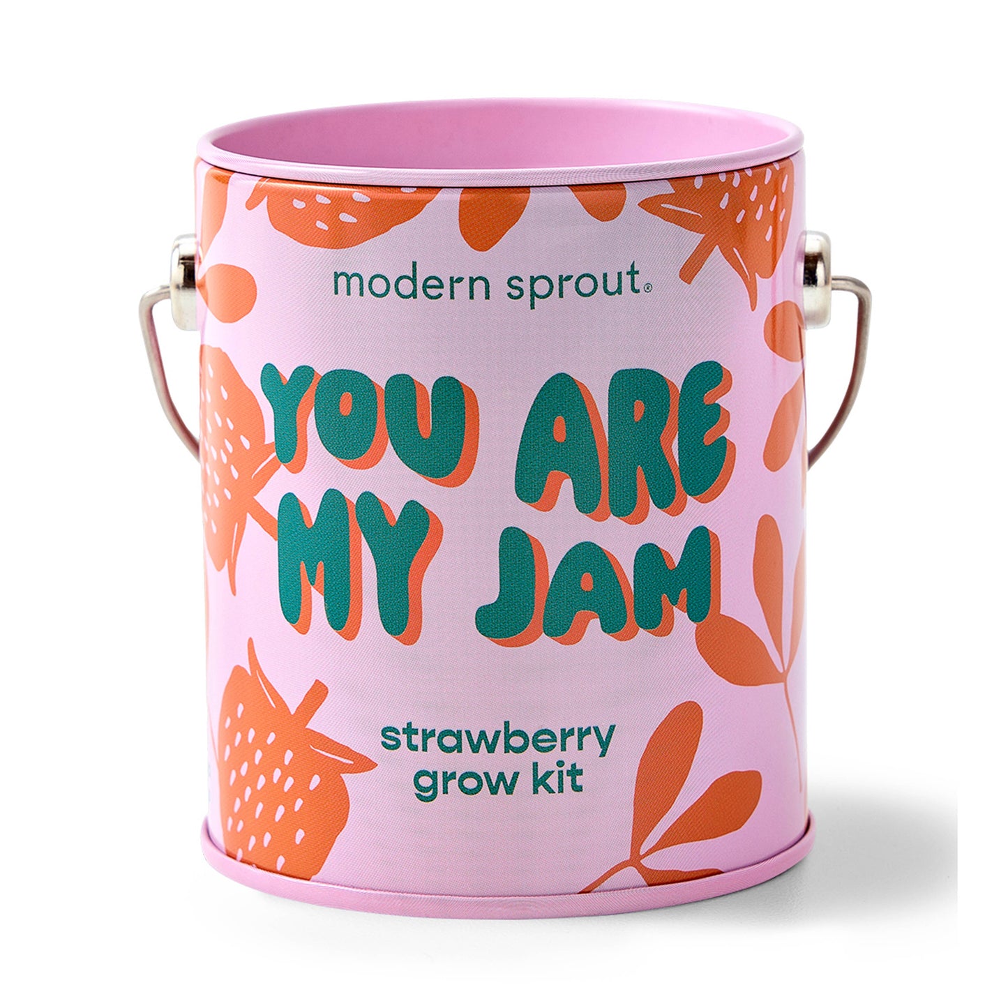 Complimentary Color Grow Kits: Bada Bloom