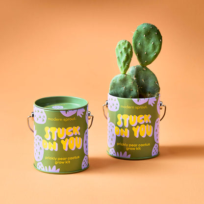 Complimentary Color Grow Kits: Stay Zen Friend