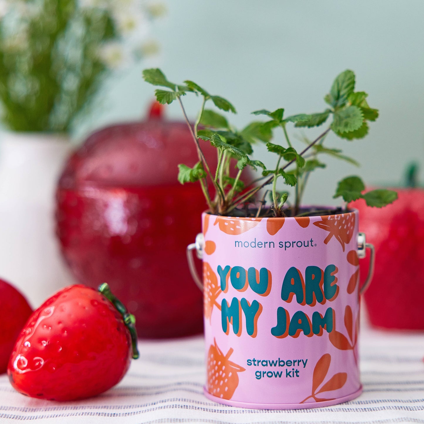 Complimentary Color Grow Kits: You Got the Sauce